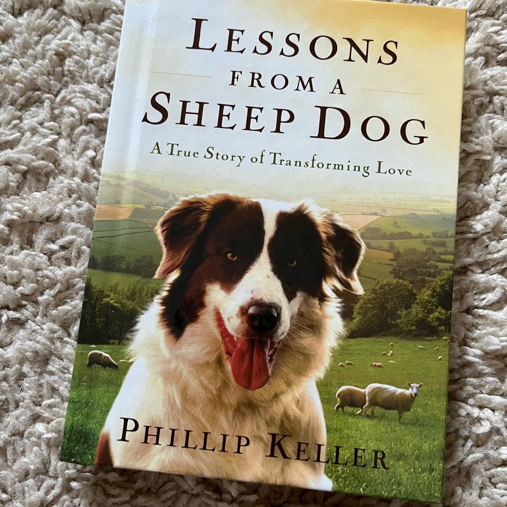 Lessons from a sheep dog book by Phillip Keller